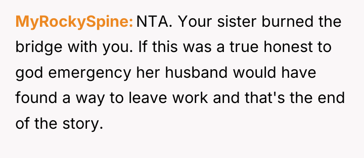 MyRockySpine NTA. Your sister burned the bridge with you. If...