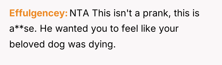Effulgencey NTA This isn't a prank, this is a**se. He...
