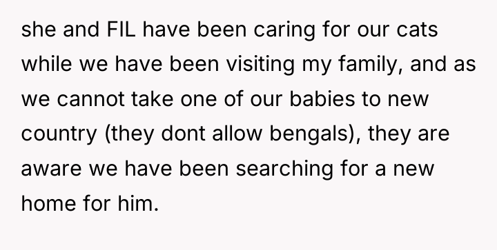 she and FIL have been caring for our cats while...