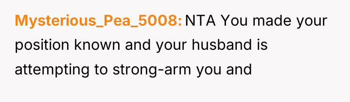 Mysterious_Pea_5008 NTA You made your position known and your husband...