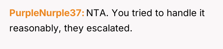 PurpleNurple37 NTA. You tried to handle it reasonably, they escalated.