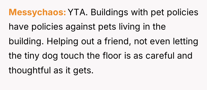 Messychaos YTA. Buildings with pet policies have policies against pets...