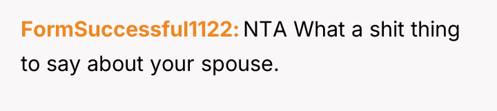 FormSuccessful1122 NTA What a shit thing to say about your...