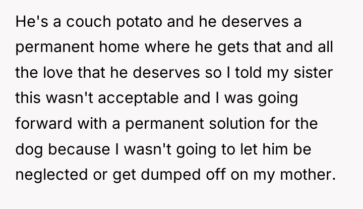 He's a couch potato and he deserves a permanent home...
