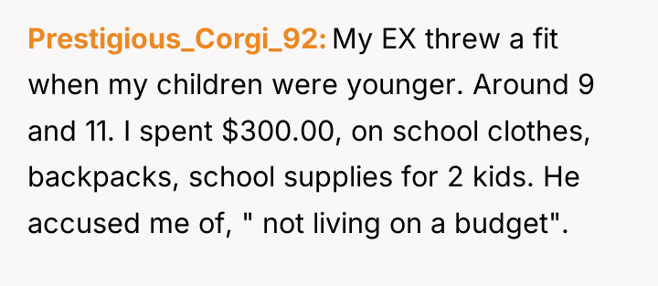 Prestigious_Corgi_92 My EX threw a fit when my children were...