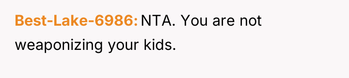 Best-Lake-6986 NTA. You are not weaponizing your kids.