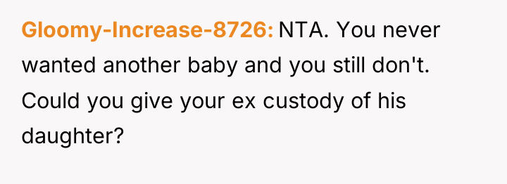 Gloomy-Increase-8726 NTA. You never wanted another baby and you still...