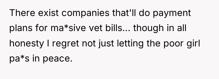 There exist companies that'll do payment plans for ma*sive vet...