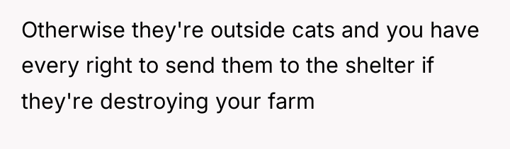 Otherwise they're outside cats and you have every right to...