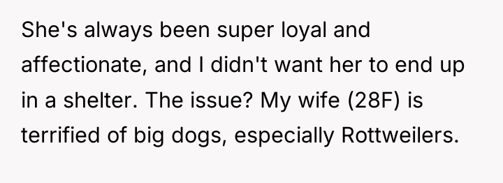 She's always been super loyal and affectionate, and I didn't...
