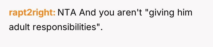 rapt2right NTA And you aren't "giving him adult responsibilities".