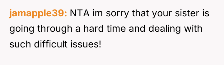 jamapple39 NTA im sorry that your sister is going through...