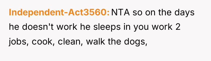 Independent-Act3560 NTA so on the days he doesn't work he...
