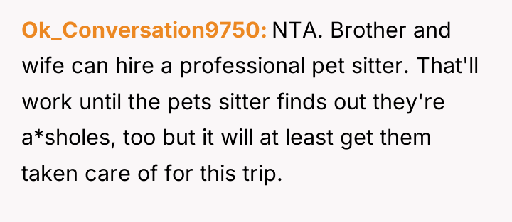 Ok_Conversation9750 NTA. Brother and wife can hire a professional pet...