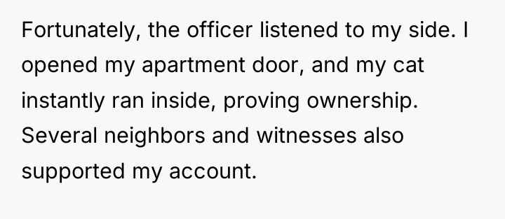 Fortunately, the officer listened to my side. I opened my...