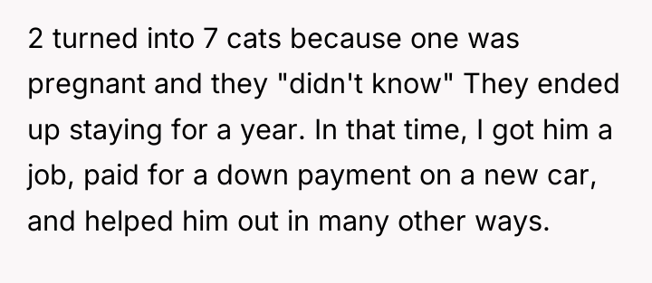 2 turned into 7 cats because one was pregnant and...