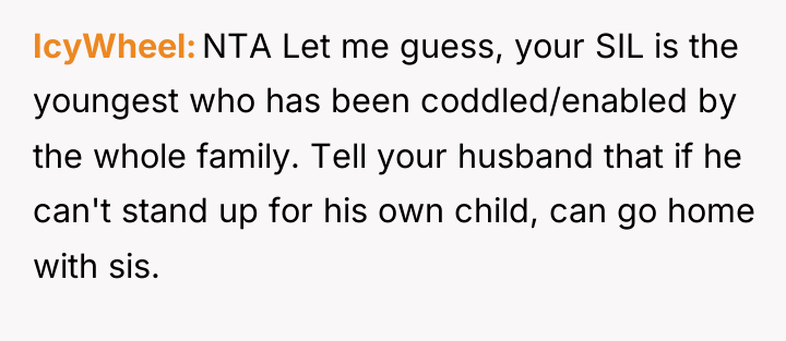 IcyWheel NTA Let me guess, your SIL is the youngest...