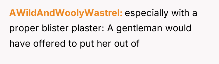 AWildAndWoolyWastrel especially with a proper blister plaster: A gentleman would...