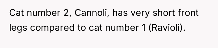 Cat number 2, Cannoli, has very short front legs compared...