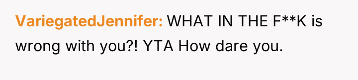 VariegatedJennifer WHAT IN THE F**K is wrong with you?! YTA...