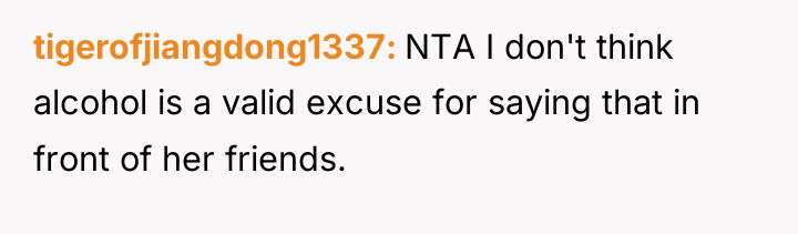 tigerofjiangdong1337 NTA I don't think alcohol is a valid excuse...
