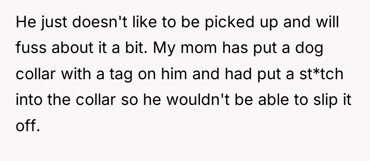 He just doesn't like to be picked up and will...