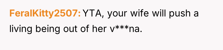 FeralKitty2507 YTA, your wife will push a living being out...