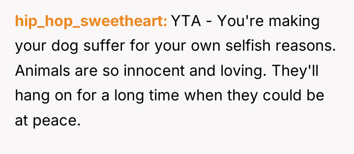 hip_hop_sweetheart YTA - You're making your dog suffer for your...