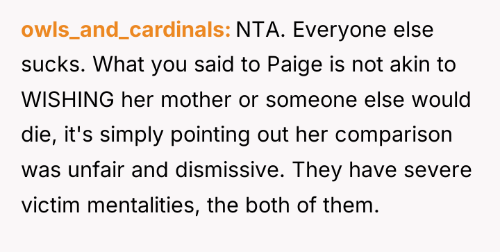 owls_and_cardinals NTA. Everyone else sucks. What you said to Paige...