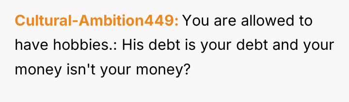 Cultural-Ambition449 You are allowed to have hobbies.: His debt is...