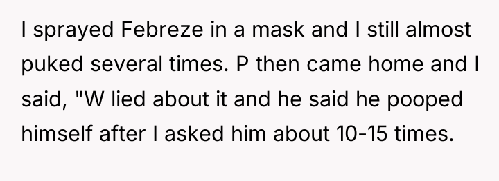 I sprayed Febreze in a mask and I still almost...