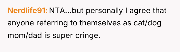 Nerdlife91 NTA...but personally I agree that anyone referring to themselves...