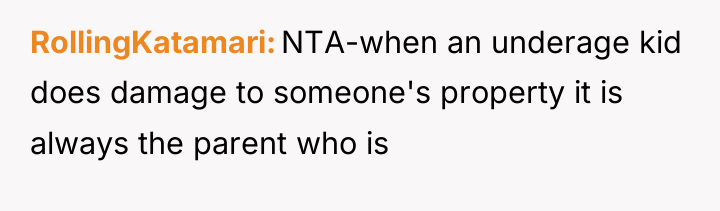 RollingKatamari NTA-when an underage kid does damage to someone's property...