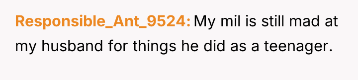 Responsible_Ant_9524 My mil is still mad at my husband for...