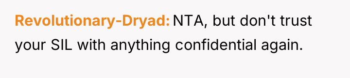 Revolutionary-Dryad NTA, but don't trust your SIL with anything confidential...