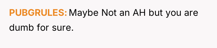 PUBGRULES Maybe Not an AH but you are dumb for...