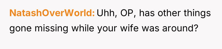NatashOverWorld Uhh, OP, has other things gone missing while your...