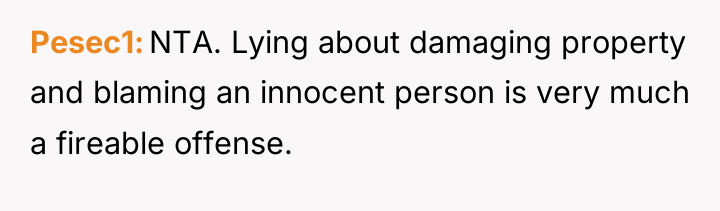 Pesec1 NTA. Lying about damaging property and blaming an innocent...