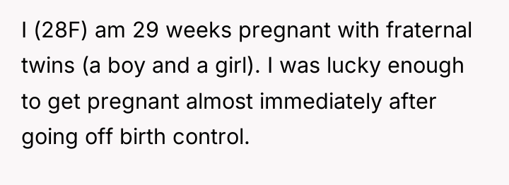 I (28F) am 29 weeks pregnant with fraternal twins (a...