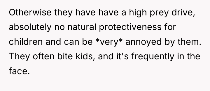 Otherwise they have have a high prey drive, absolutely no...