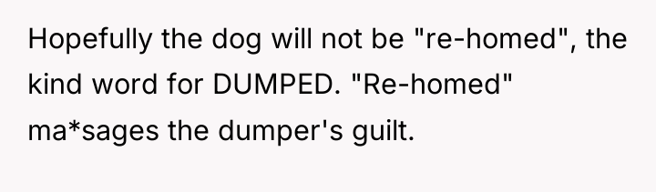 Hopefully the dog will not be "re-homed", the kind word...