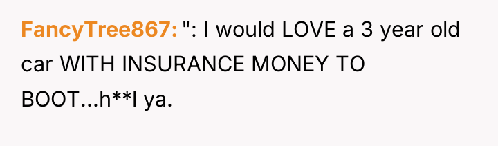 FancyTree867 ": I would LOVE a 3 year old car...