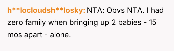 h**locloudsh**losky NTA: Obvs NTA. I had zero family when bringing...