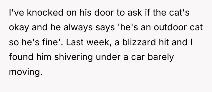 I've knocked on his door to ask if the cat's...
