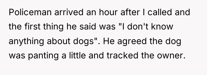Policeman arrived an hour after I called and the first...