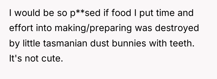 I would be so p**sed if food I put time...
