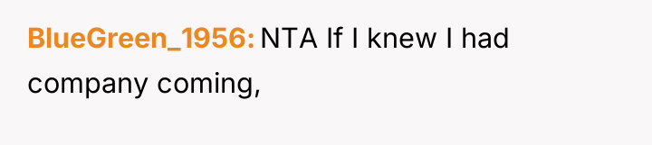 BlueGreen_1956 NTA If I knew I had company coming,