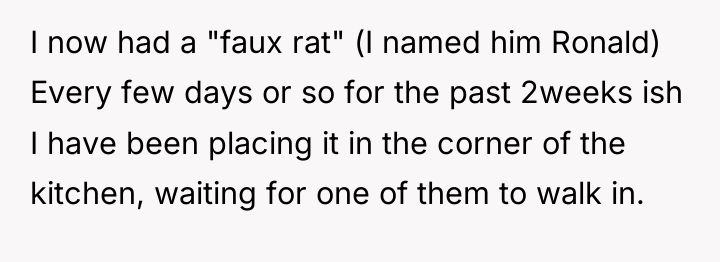 I now had a "faux rat" (I named him Ronald)...