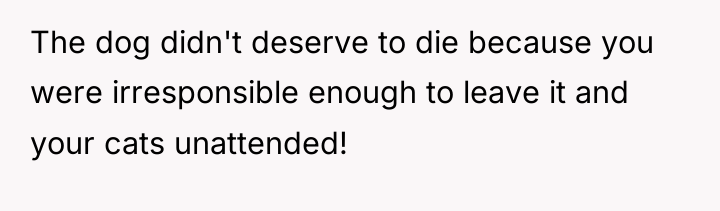 The dog didn't deserve to die because you were irresponsible...