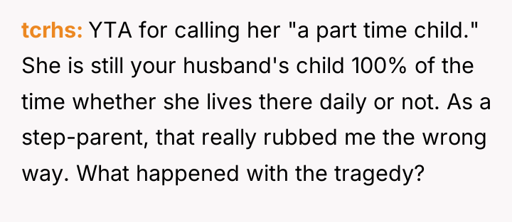tcrhs YTA for calling her "a part time child." She...
